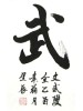 Chinese Calligraphy Paintings