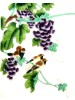 Chinese Silk Paintings