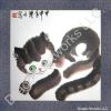 Cat Chinese Brush Painting