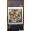 Chinese Tiger Brush Painting Wall Scroll
