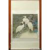 Herons Flowers Original Chinese Detail Painting Scroll