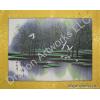 Chinese Brush Painting of Cranes in Summer